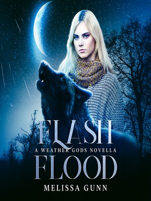 cover image of Flash Flood